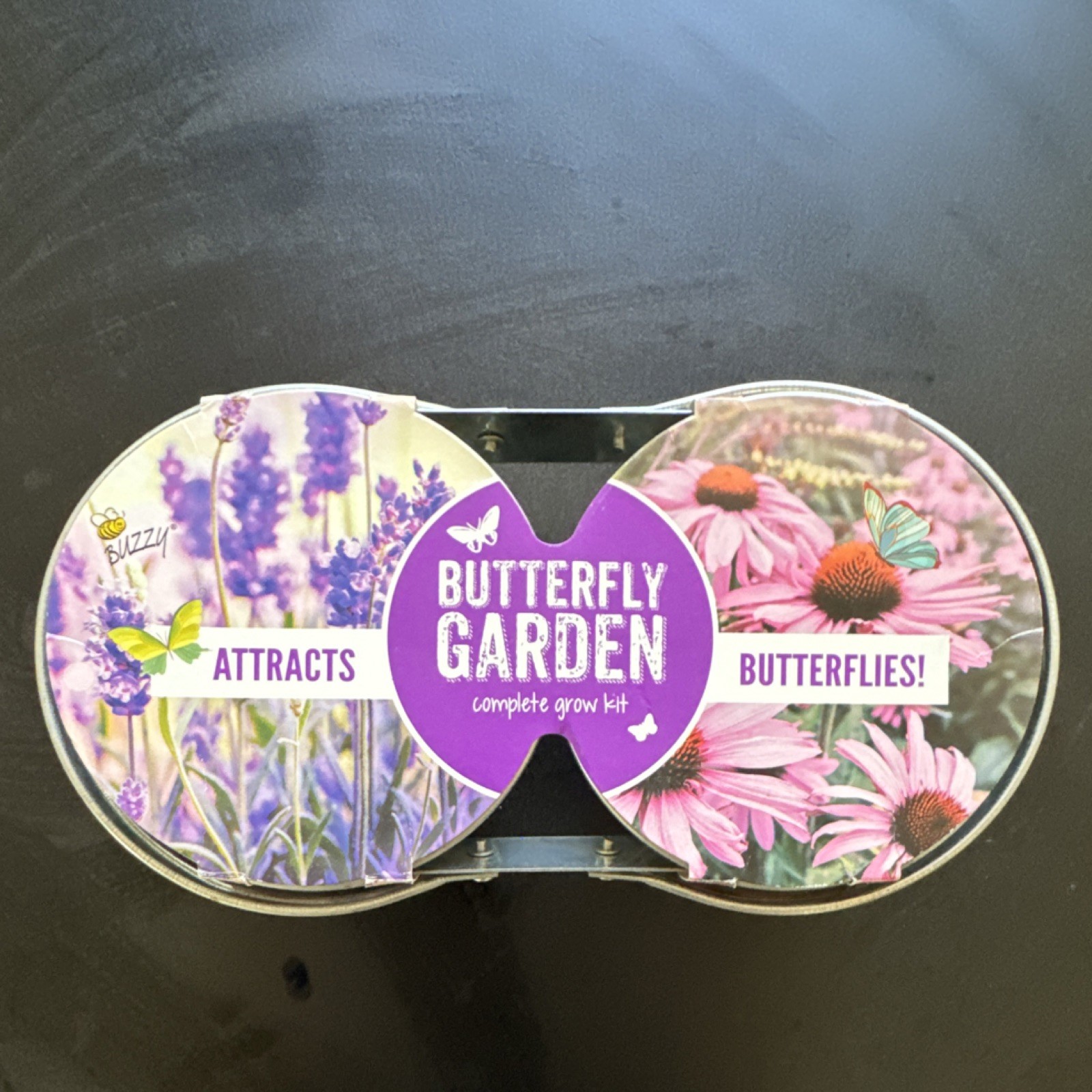 Buzzy Grow Kit Lavender & Coneflower Purple Pink Attracts Butterflies gallery