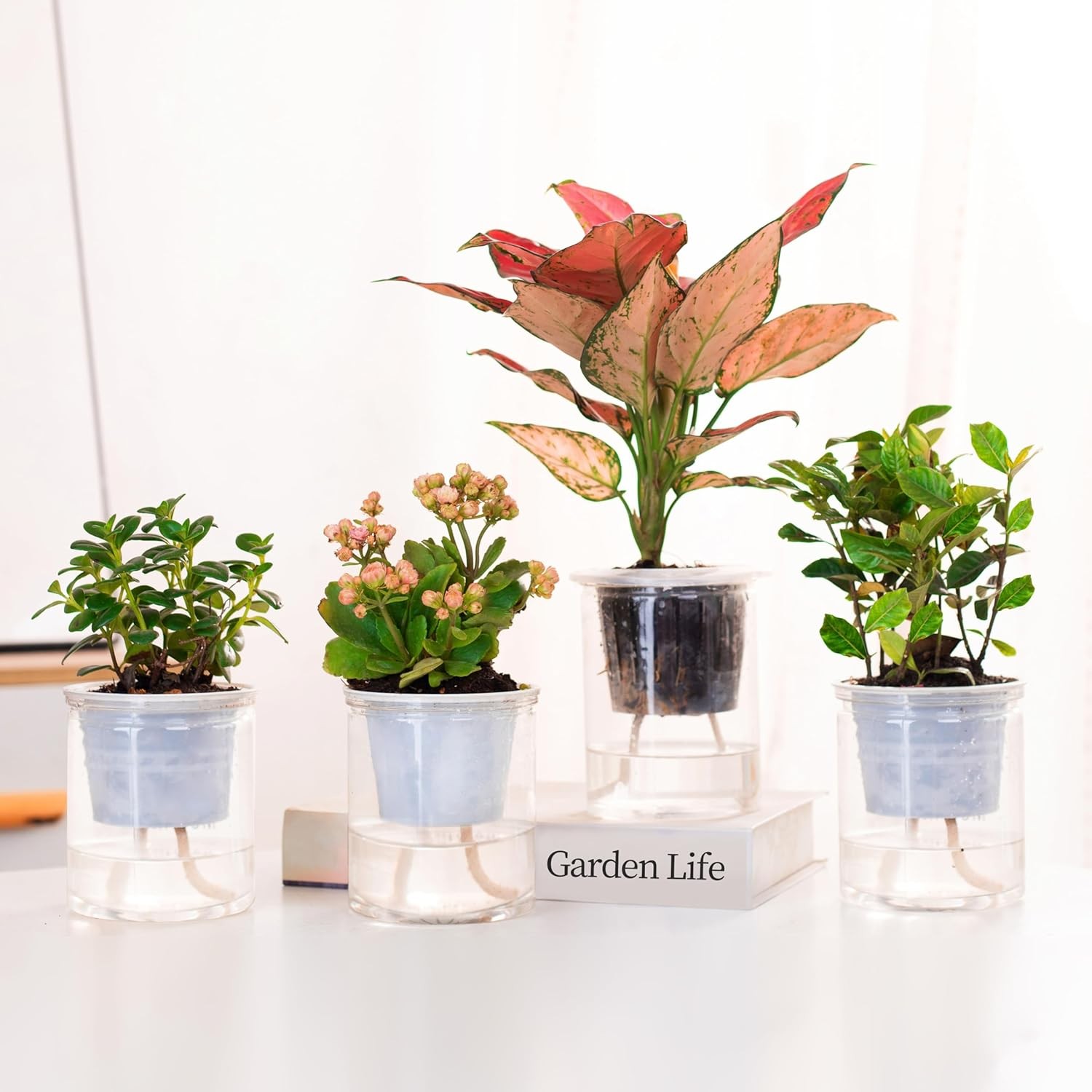 30ft Self Watering Wick Rope Set for Plants - 5 Sizes: 1/4" to 1/12 gallery