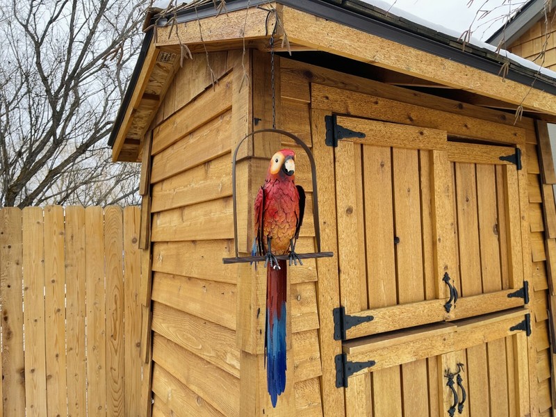 Hanging Whimsical Rustic Metal Swinging Macaw Parrot Tropical Bird On Chain Yard gallery