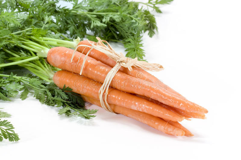 Imperator 58 Carrot Seeds 2000+ Vegetable Garden Heirloom NON-GMO FREE SHIPPING gallery