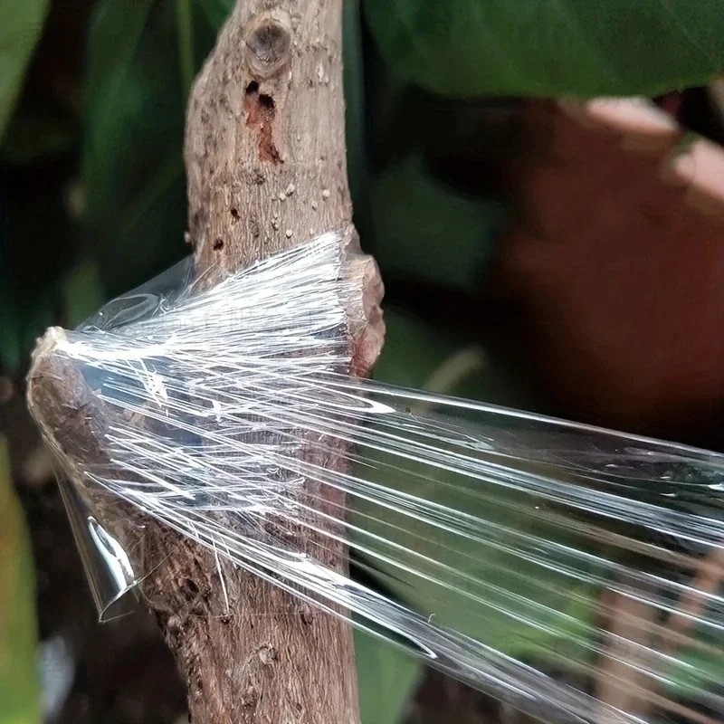Eco-friendly Biodegradable Grafting Tape Graft Membrane Gardening Bind Belt Plan gallery