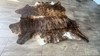 Cowhide Rug Brindle Tricolor 62"x69" (5.2x5.8 ft) | Premium Quality Hide #007 gallery