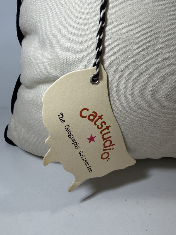 Catstudio VIRGINIA 2007 Hand-Embroidered Cotton Pillow 18" Square Colorful Rare gallery