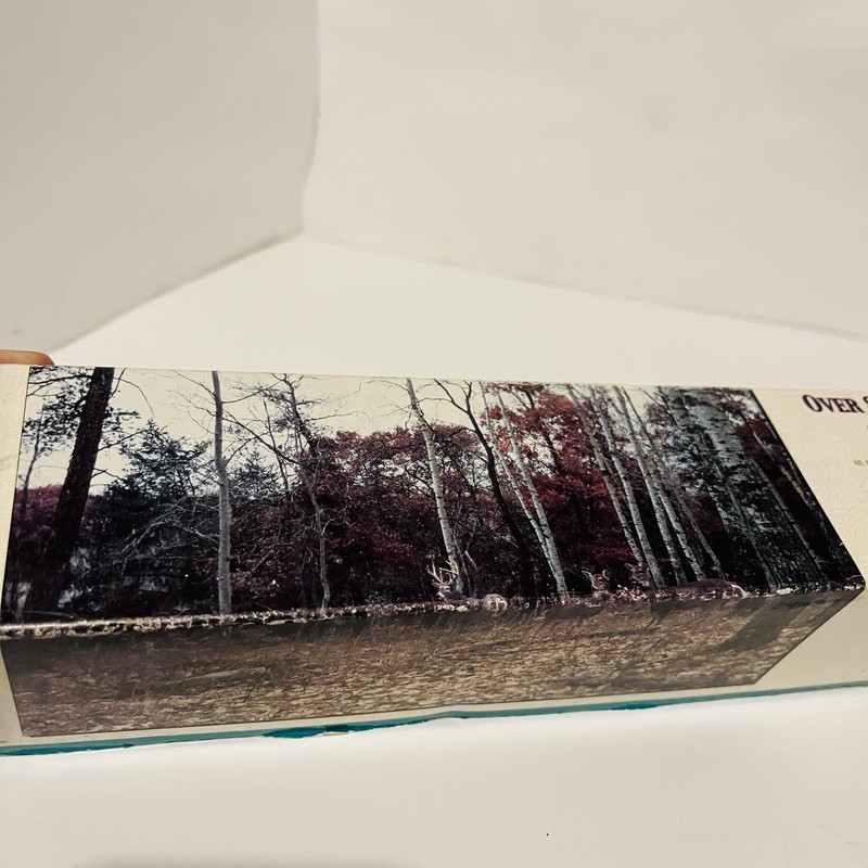 Environmental Graphics Wall Mural Deer C396 8.3ft X 13.8ft Forest Nature Trees gallery
