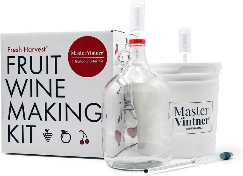 Quick and Engaging Wine Making Experience - One Gallon Fruit Kit for Beginners gallery