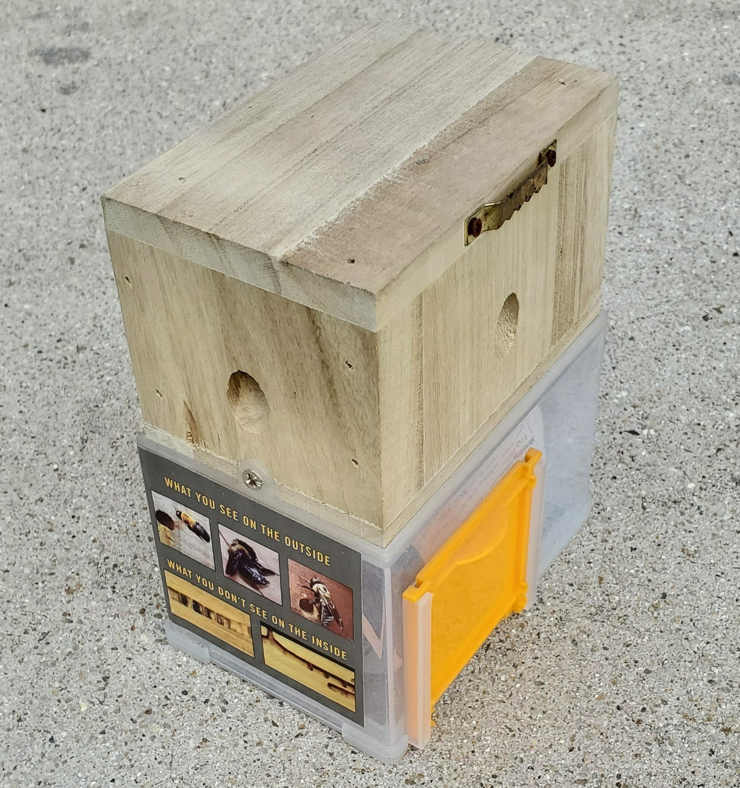 Bees 'N Things Outdoor Carpenter Bee Trap gallery