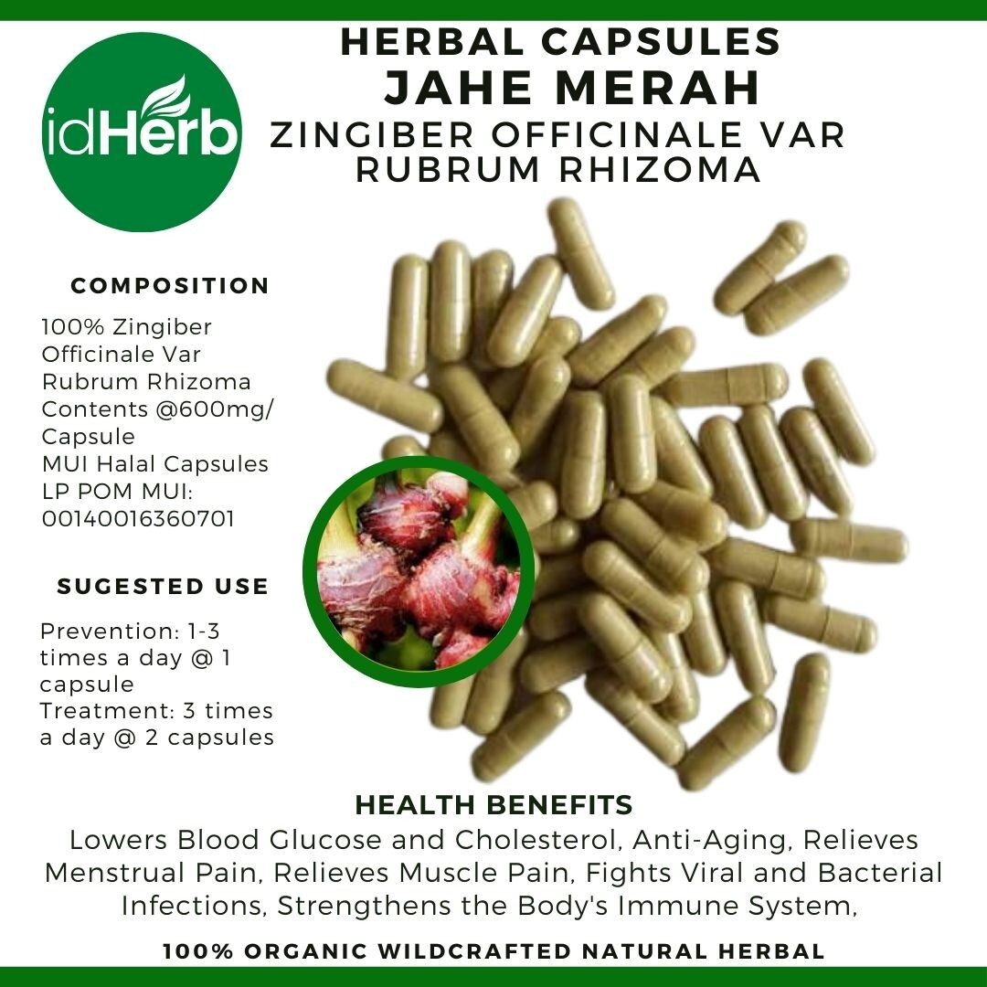Capsules Zingiber Officinale Var Rubrum Rhizom Natural herbal Organic 100% Herbs gallery