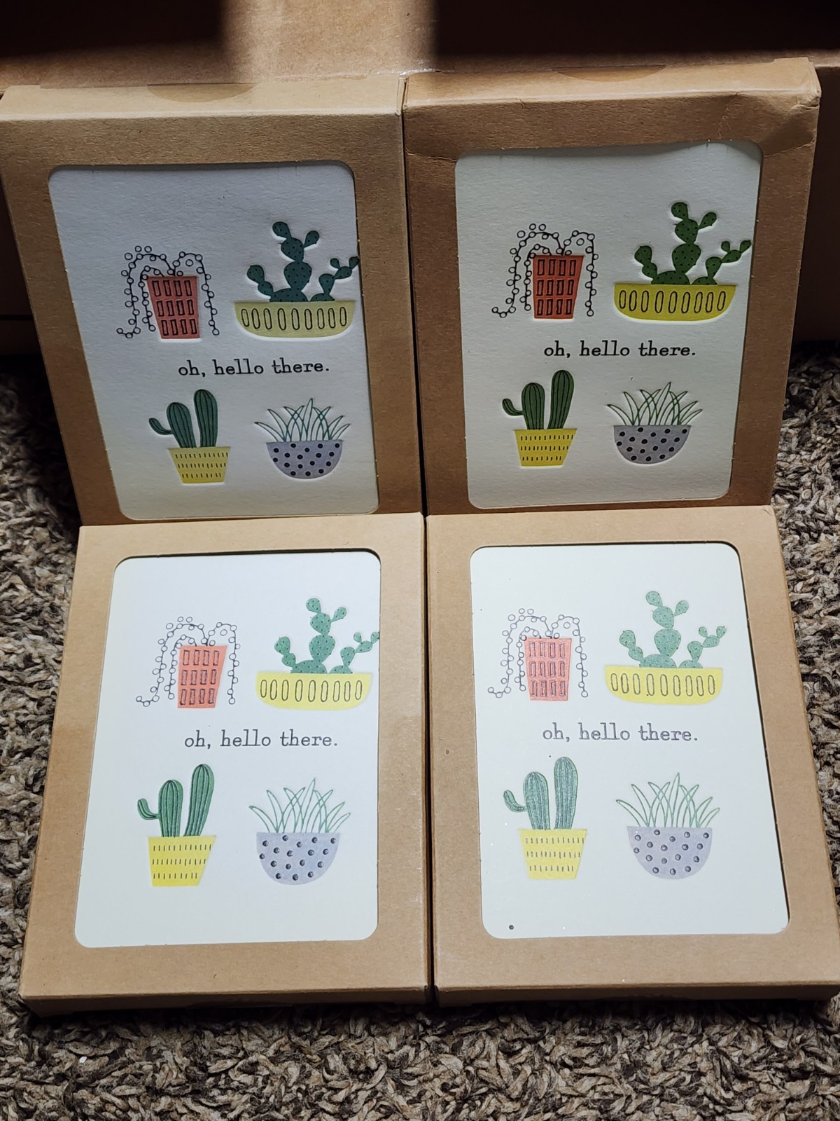 Hallmark Blank Inside Cards All Occasions Plant Succulent In Pot Lot Of 4 Boxes gallery