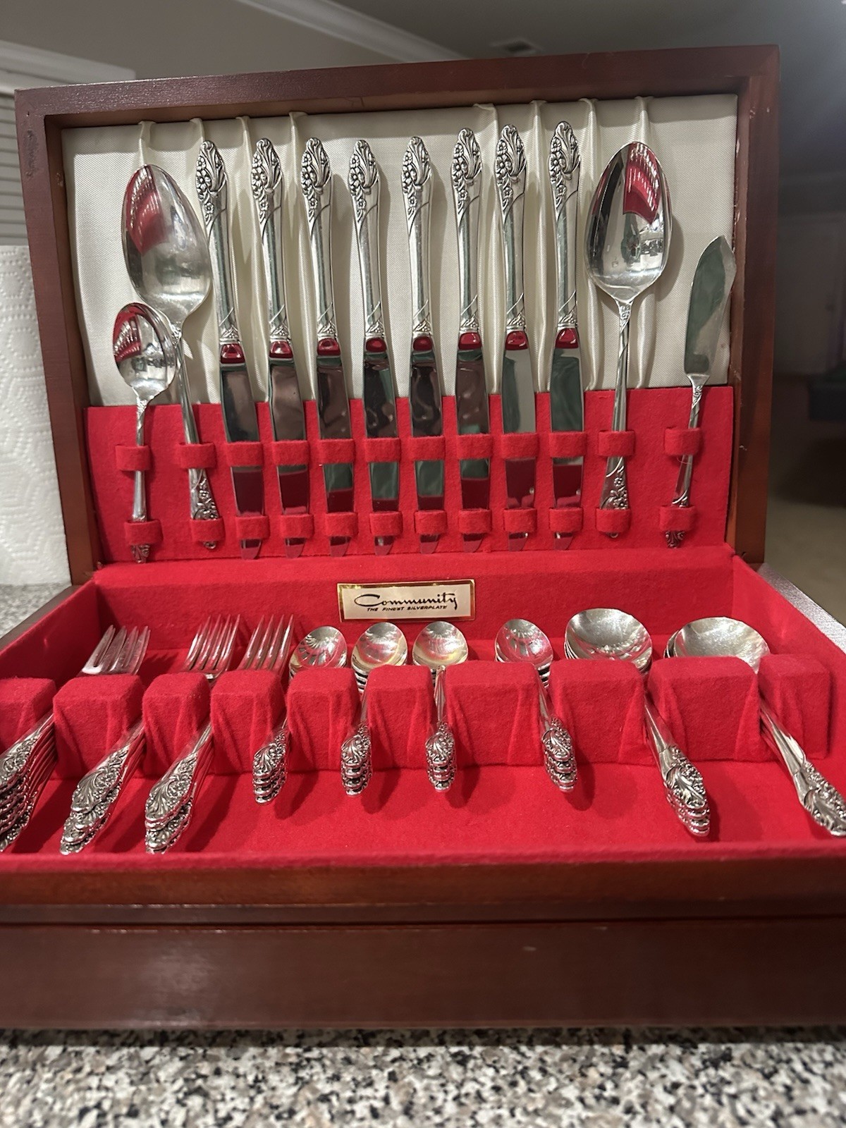 Silver plated complete Vintage 1950 Community by oneida silverware set gallery
