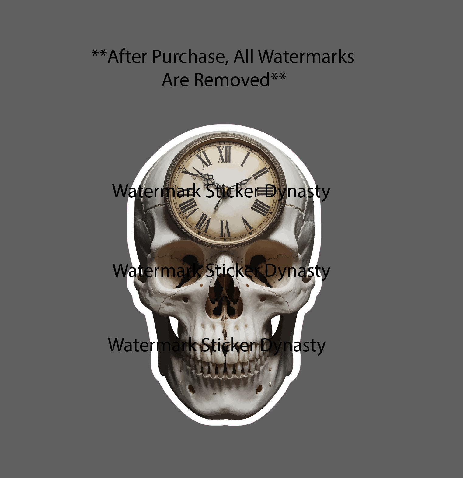 Skull Clock Sticker Waterproof Decal Memento Mori Time Bones Life Gift NEW gallery
