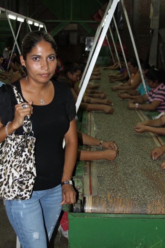 Coffee Beans Sumatra SHB Roasted Medium Daily 2 Bags 1 Pound Each gallery