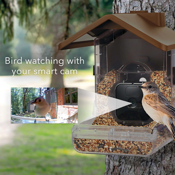 Wasserstein Bird Feeder Smart Camera Case Compatible with Ring, Blink & Wyze ... gallery