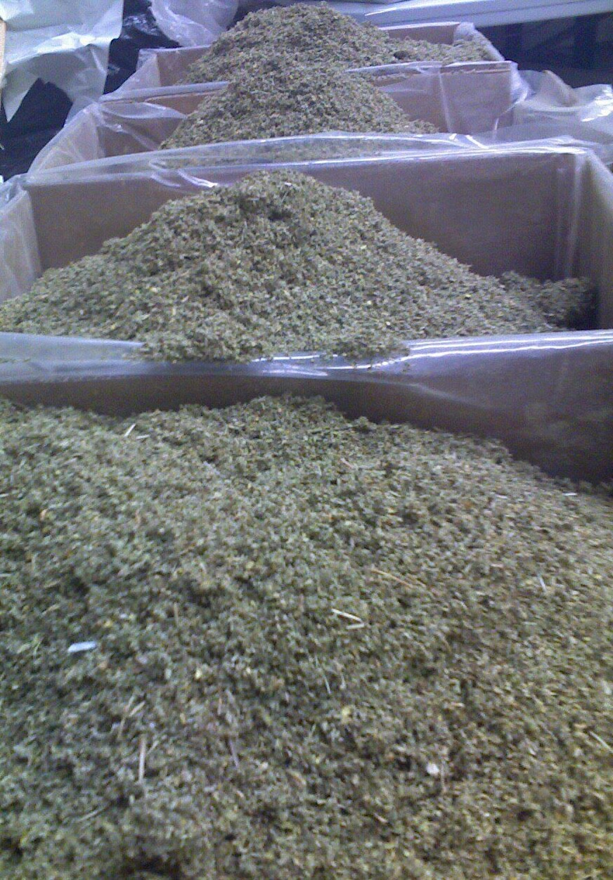 DAMIANA leaf ORGANIC aromatic herb! WHOLESALE 1 2 5 10 lb’s pounds free ship! gallery