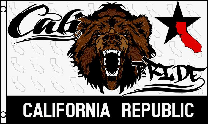 Cali Pride Flag 3x5 ft California Republic Bear Head State CA 36 x 60 inches gallery