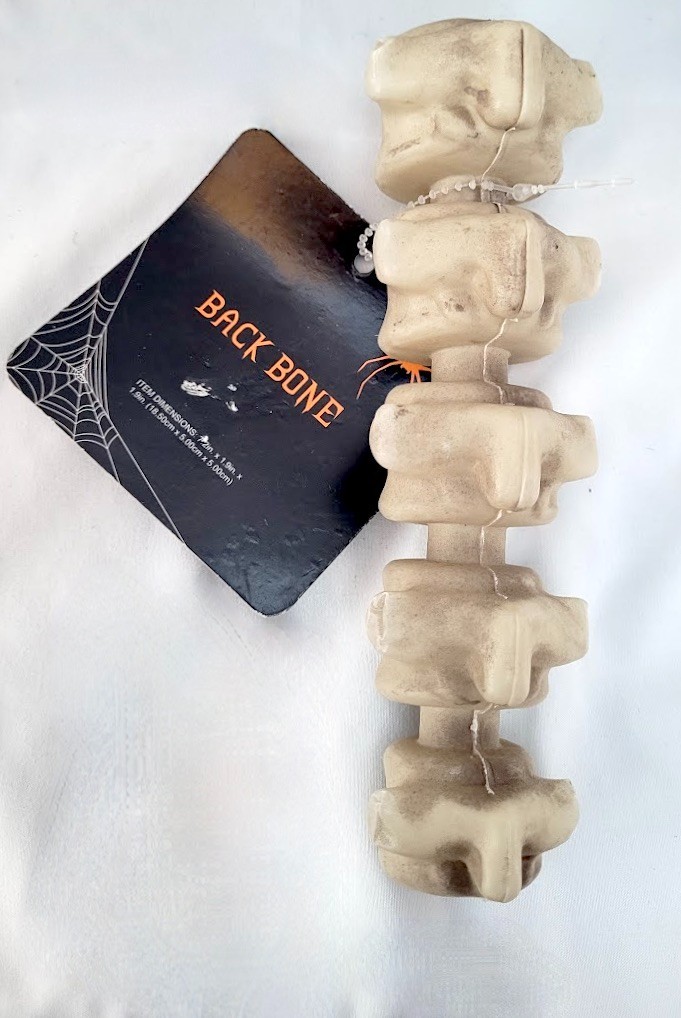 7" Plastic Back Bone Creepy Home Decor for Indoor Use Only gallery