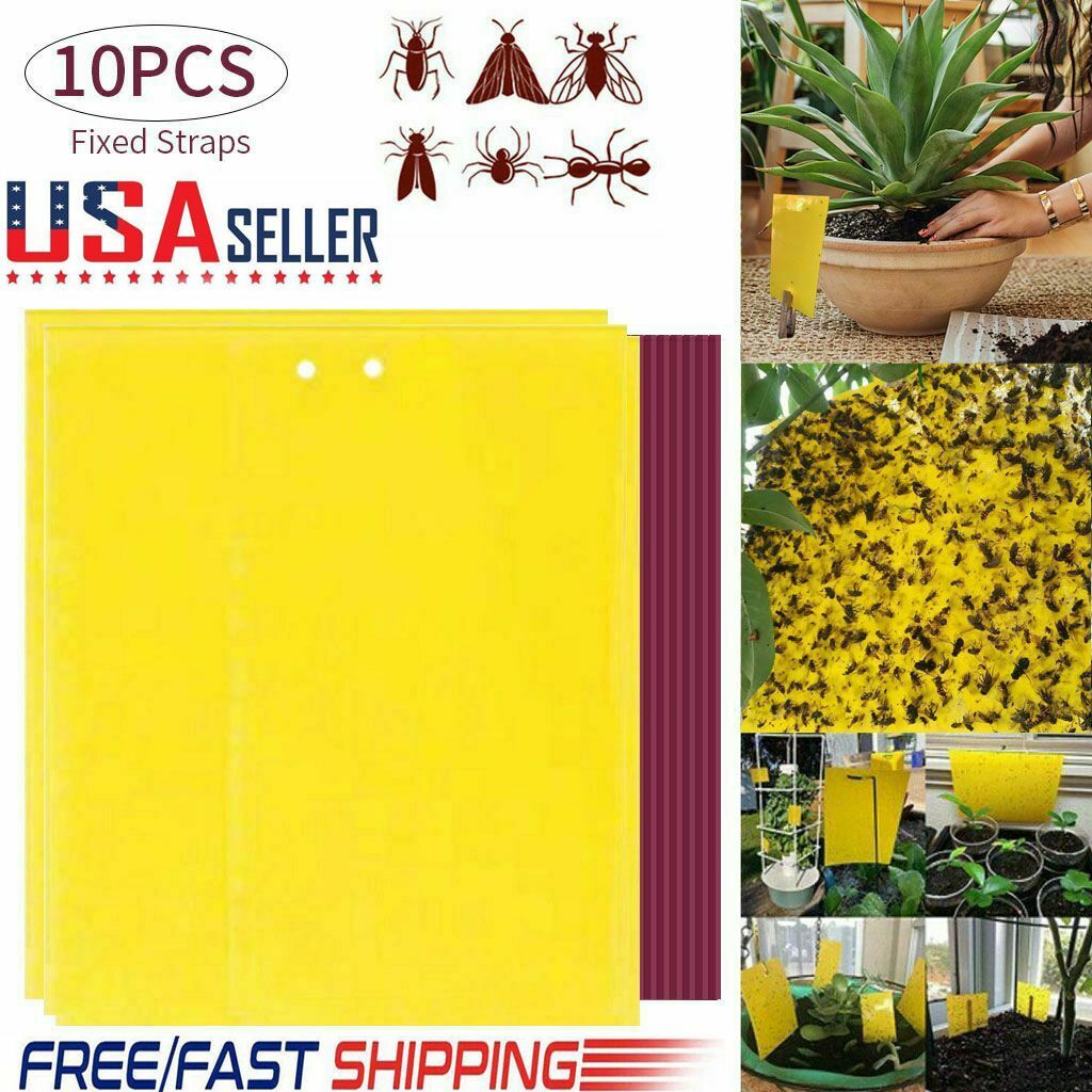 10-20pcs Sticky Fly Trap Paper Yellow Traps Fruit Flies Insect Glue Catcher Best gallery