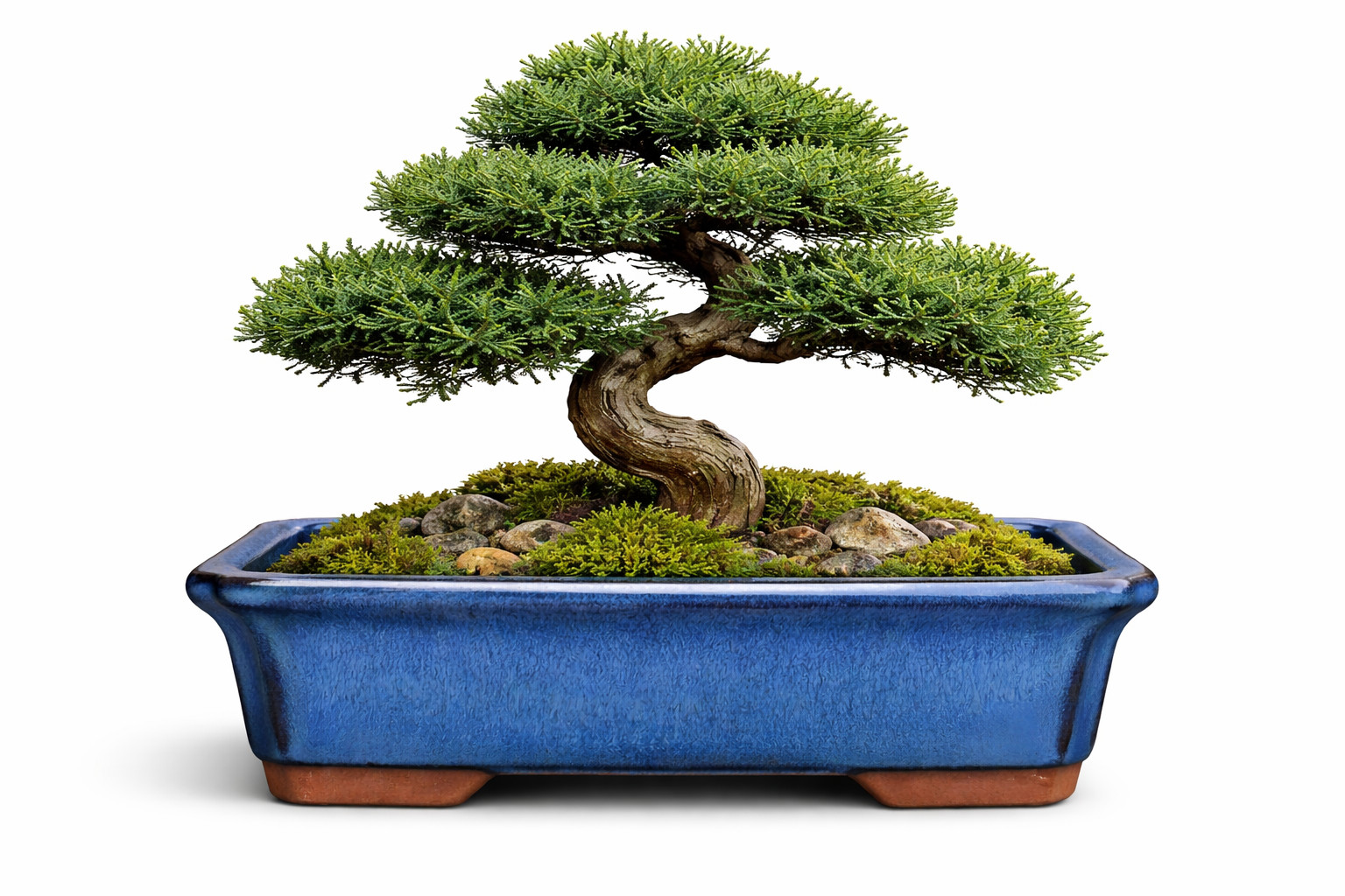 Rectangle Shohin Bonsai / Succulent Pot 6"x 4.5"x 1.4" - Blue Glazed gallery