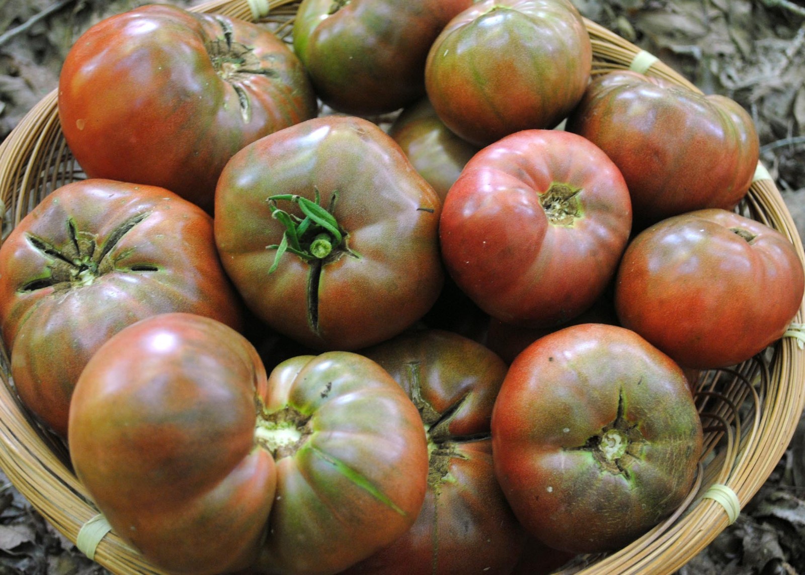 Cherokee Purple Tomato Seeds, Heirloom, NON-GMO, Variety Sizes, FREE SHIPPING gallery