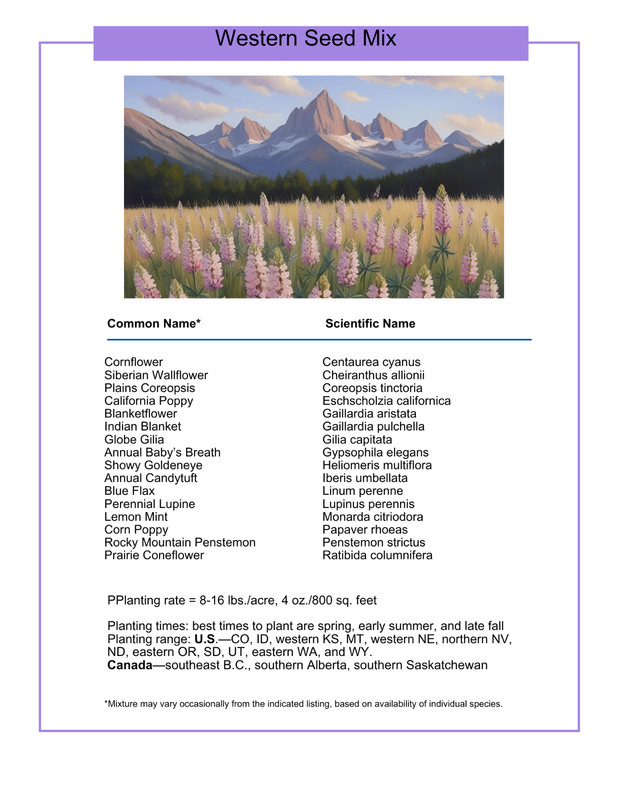 1/4 Pound Eastern Washington Bulk Wildflower Seed Mix 1/4lb Covers 800sq-ft gallery