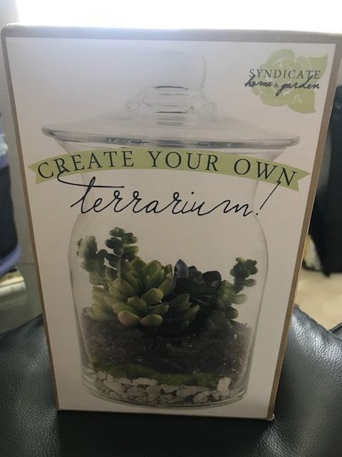 Syndicate Home & Garden Create Your Own Terrarium Kit 100-00-00 New!!! gallery