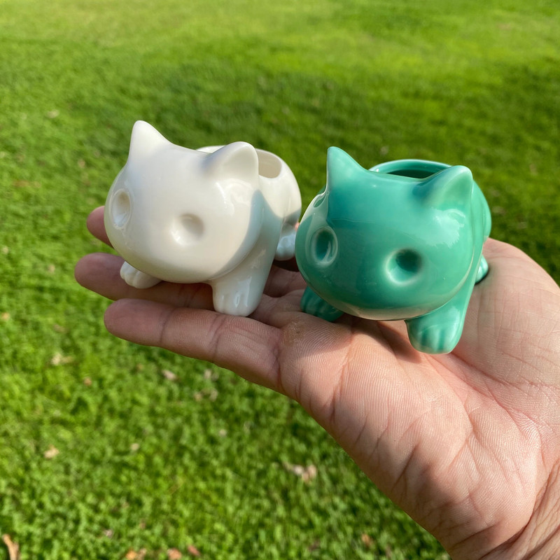 Bulbasaur Planter br (Includes Drainage Hole For Non Air Plants) gallery