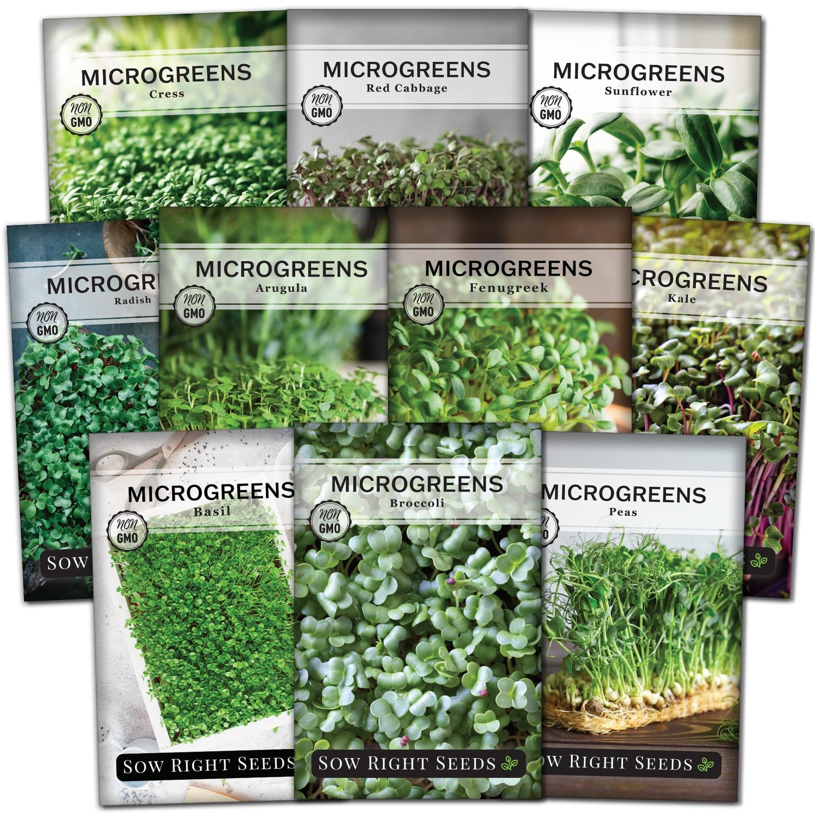 Large Microgreens Seed Collection 10 Superfood Varieties for Indoor Gardening gallery