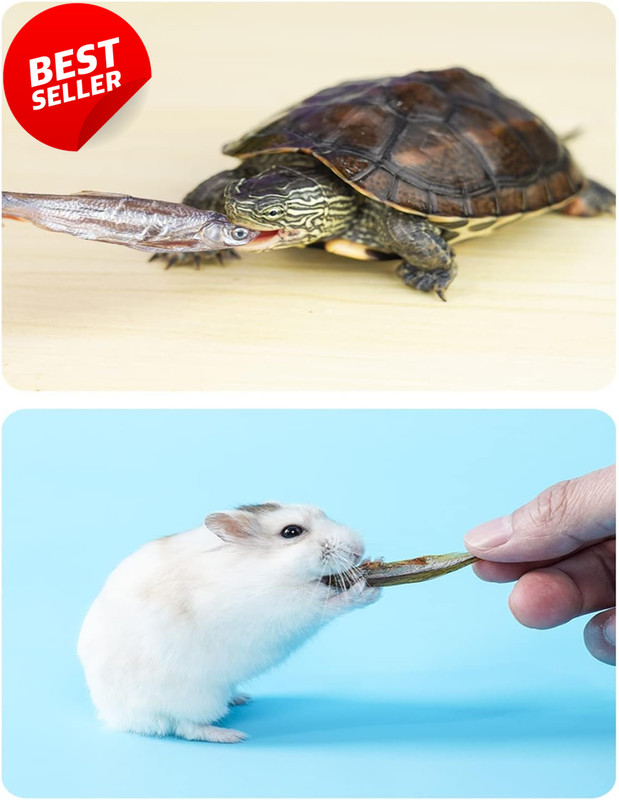 Dried River Fish 7 oz Natural Turtle Reptile Terrapin Tropical Food Treat - US gallery