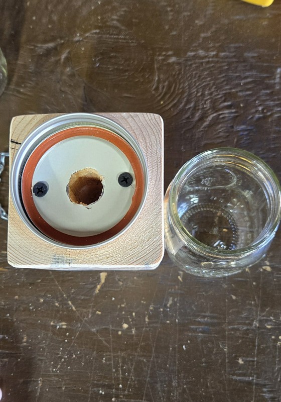 CARPENTER 'BORE' BEE TRAPS THAT WORK! gallery