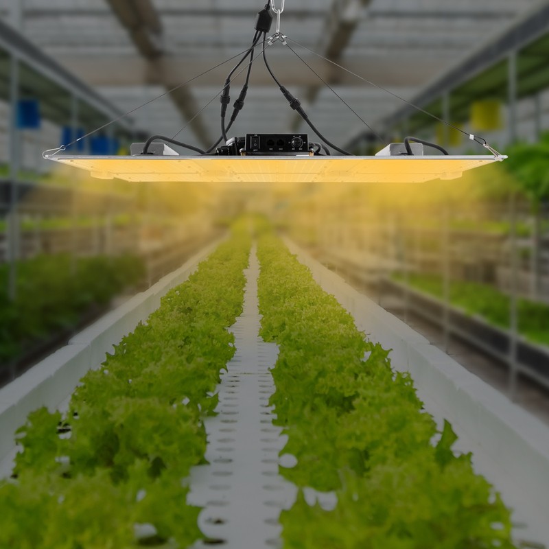660W LED Grow Lights Panel Sunlike Full Spectrum For Indoor Plants Flowers IP65 gallery