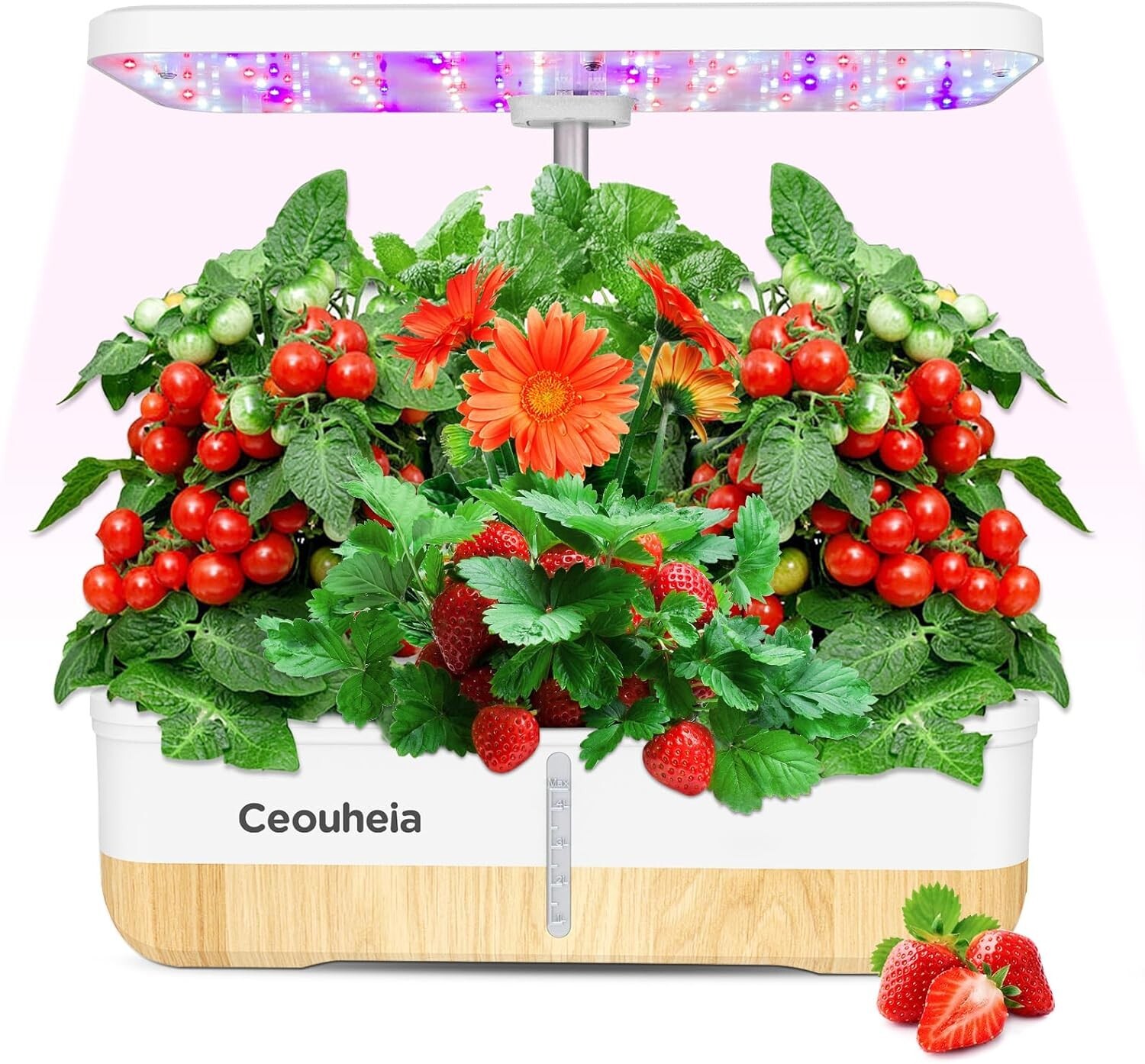 Hydroponics Growing System 12Pods, Indoor Herb Garden with LED Grow Light gallery