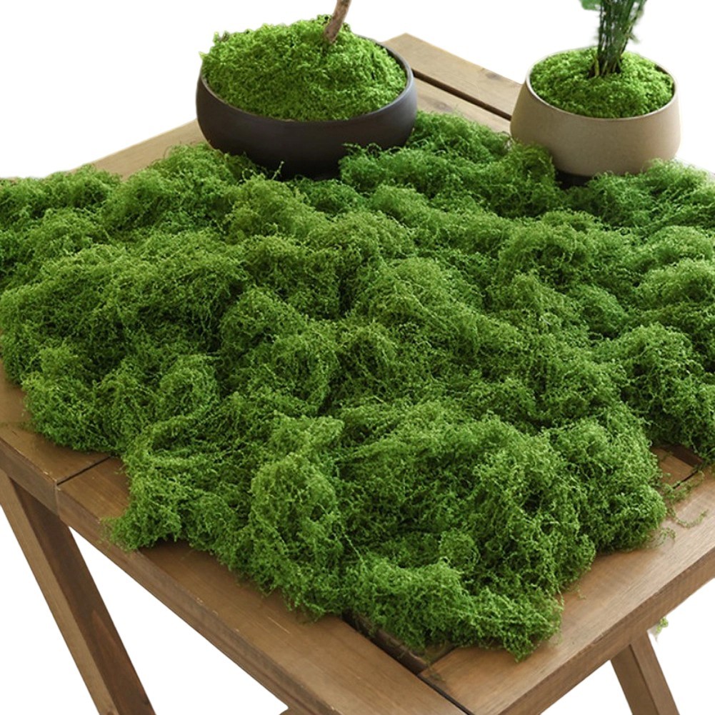 Artificial Moss Grass Mat 200g for Miniature Landscaping Model and Terrarium gallery