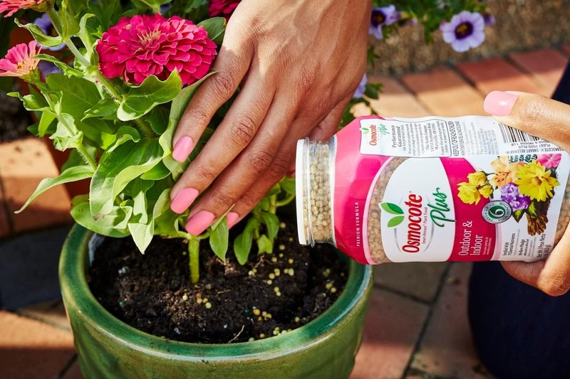 Versatile Plant Food for All Varieties: Smart-Release 1 lb Indoor & Outdoor Care gallery