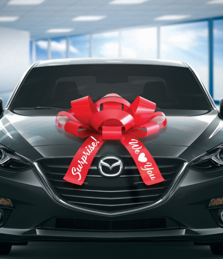 Extra Large Car Bow | Vinyl, Magnetic Back, No Scratch | Huge Car Bow | BIG BOW! gallery