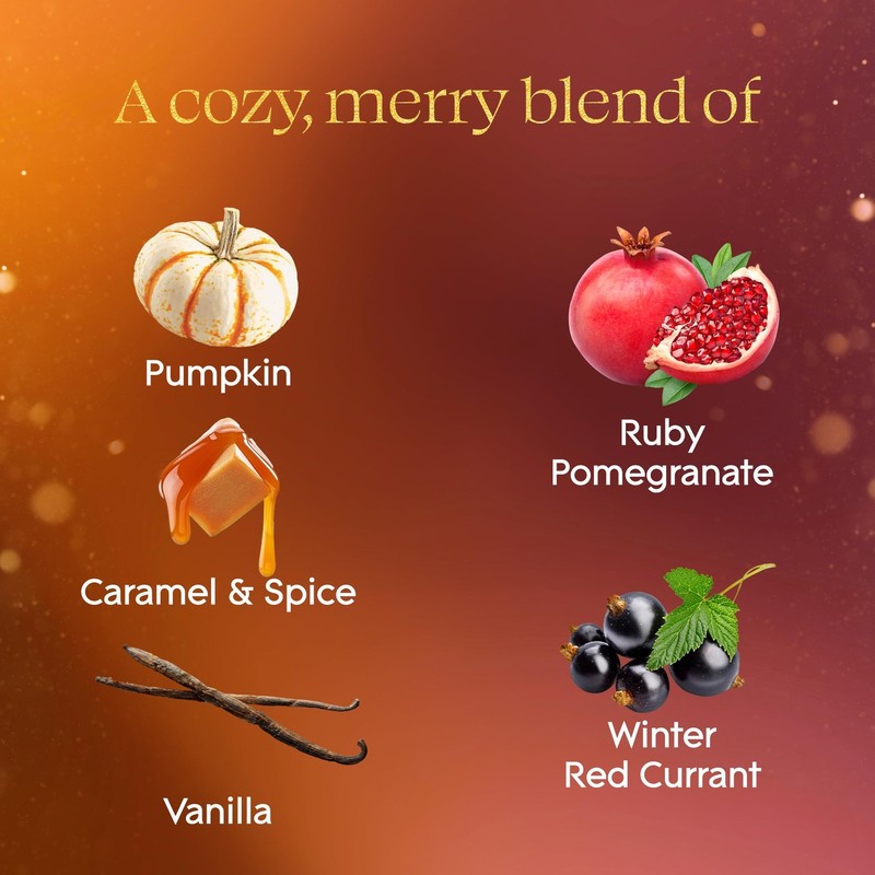 "Pumpkin & Ginger, Pomegranate & Currant Air Freshener Refills, 5 Count" gallery