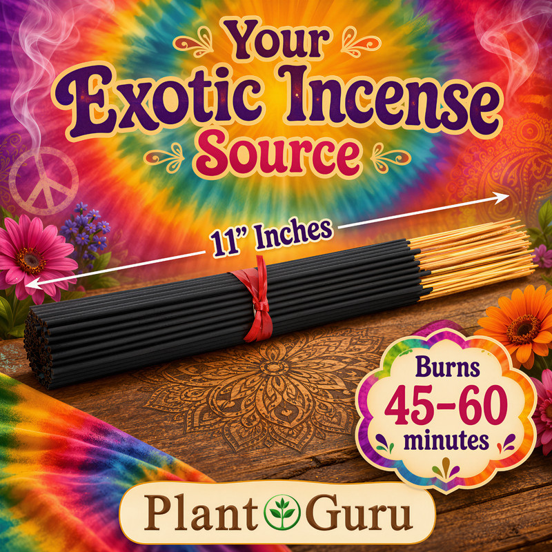 PEPPERMINT Incense Sticks 11" Bulk Pack Wholesale Hand Dipped Lot gallery