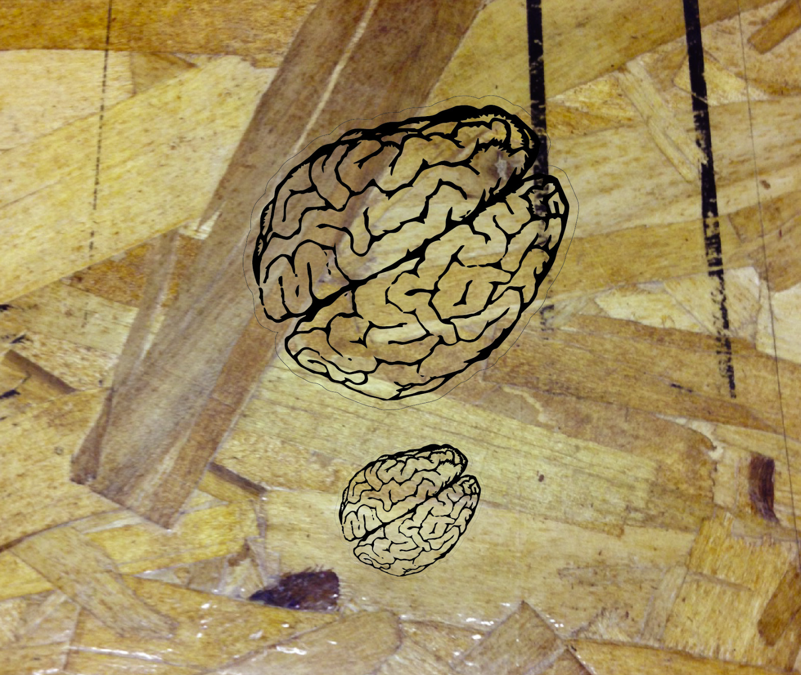 Brain Clear Sticker Decal Mind Brains Smart Genious - 3.5" wide. Black and Clear gallery