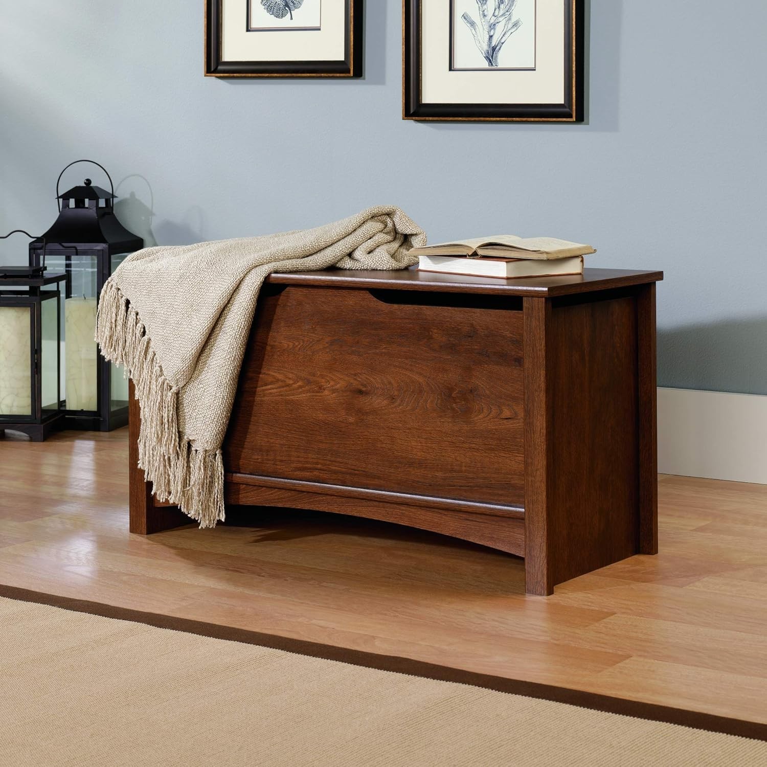 Shoal Creek Storage Chest, Toy Storage Chest for Living Room, Storage Trunk, ... gallery