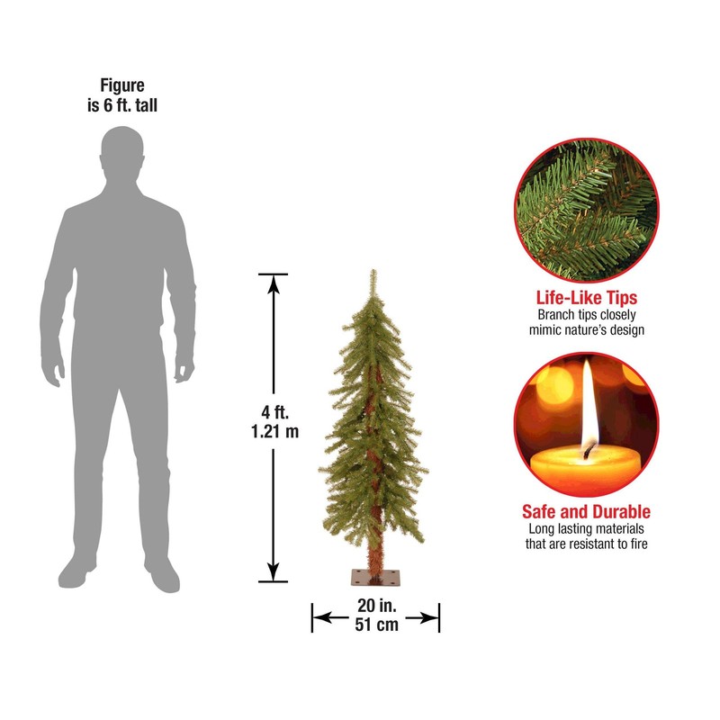 4 ft. Hickory Cedar Tree gallery