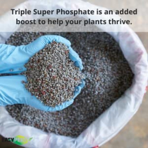 High-Performance Triple Super Phosphate 0-46-0 Fertilizer | 5 lbs for All Plants gallery