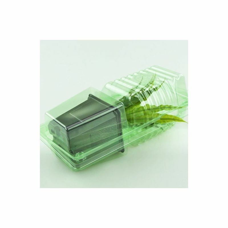 Clone Shipper - Multiple Sizes - Ship Plant Cuttings - 100Hr LEDs Optional gallery