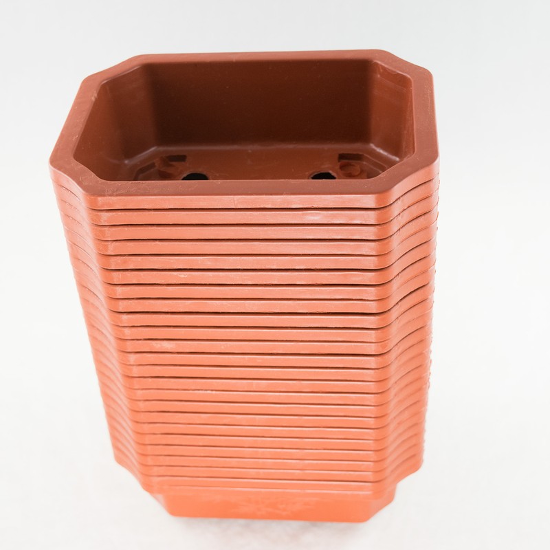 24 Rectangular Plastic Bonsai Training Pot, Succulent Planter - 6.25"x 4.5"x 2" gallery