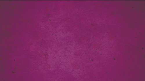 Fast Drying Concrete Stain-Professional-Easy to Use 100-150sq ft Violet gallery