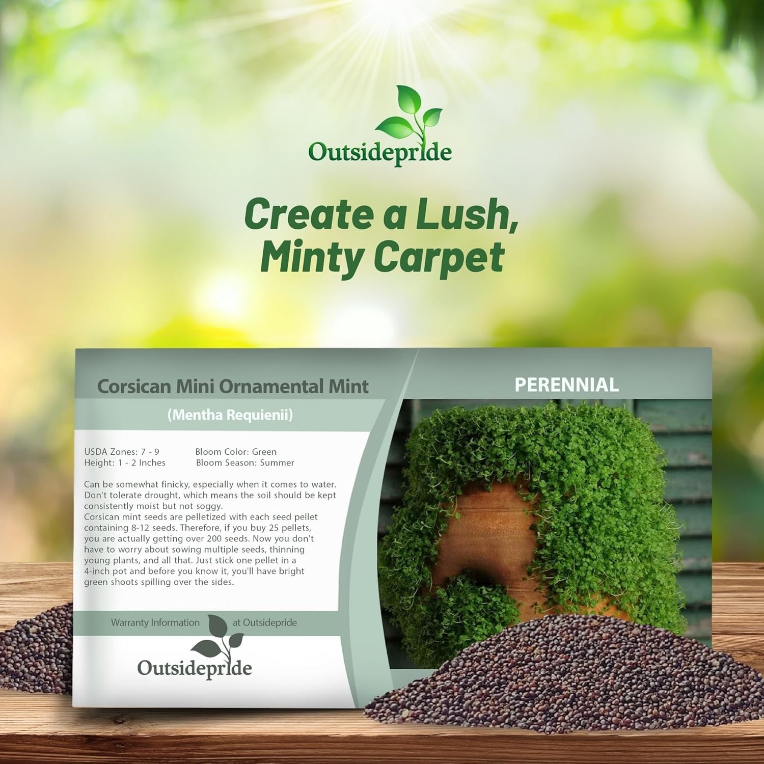 50 Pellets Corsican Mint Seeds For Planting | Ground Cover Plant Seed gallery