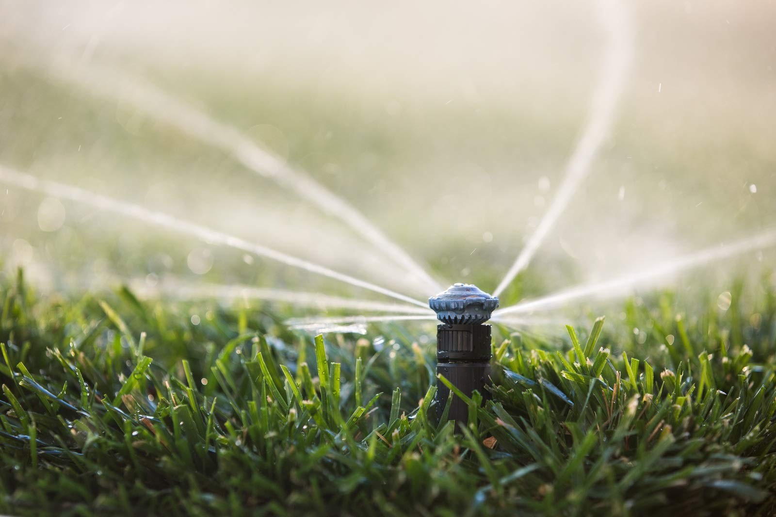 High-Efficiency Rotary Spray Nozzle, Adjustable 45°-270°, 8'-14' Spray Distance gallery
