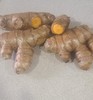 Fresh Organic Yellow Turmeric Root. 1/4-lb package- Free Shipping gallery