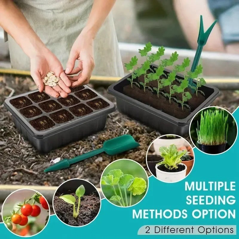 2pc Set Seed Starter Tray with Grow Light, Seed Starting Trays Kits gallery