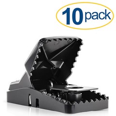 Large Powerful Rat Traps (10 Pack) – Kills Instantly with Powerful Steel Spring