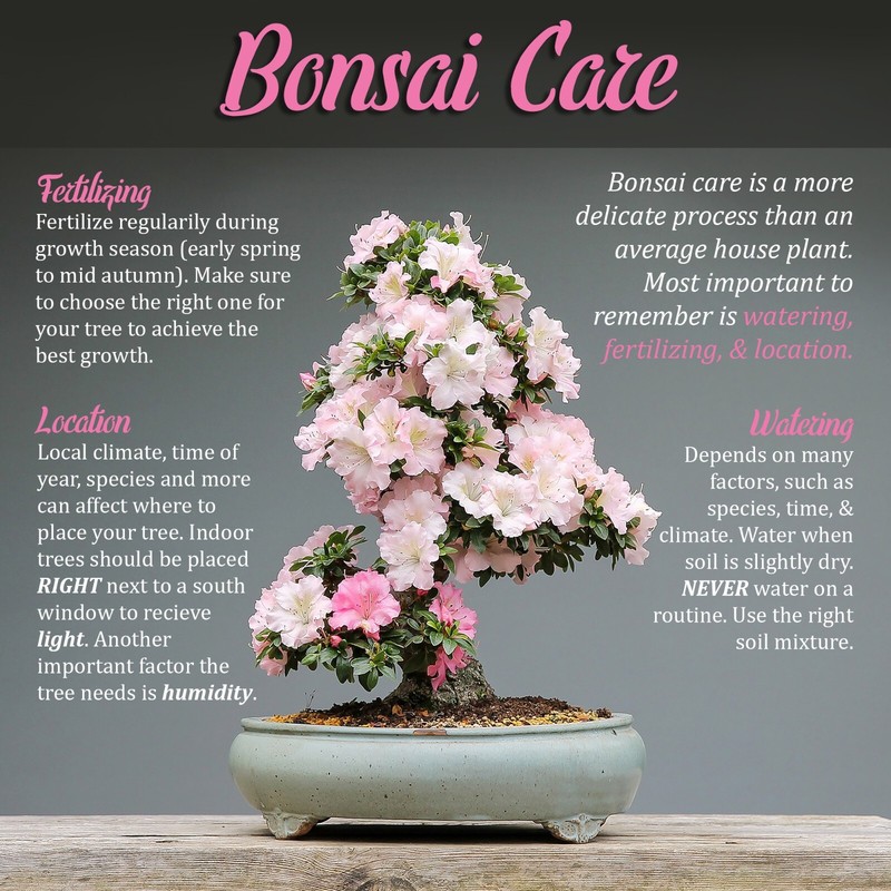 Bonsai Tree Trunk Splitters gallery