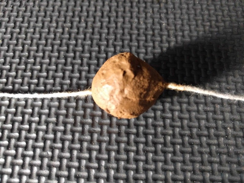 Common Milkweed Pollinator Seed Plot Strings, 9 Seed/Clay balls Per string gallery