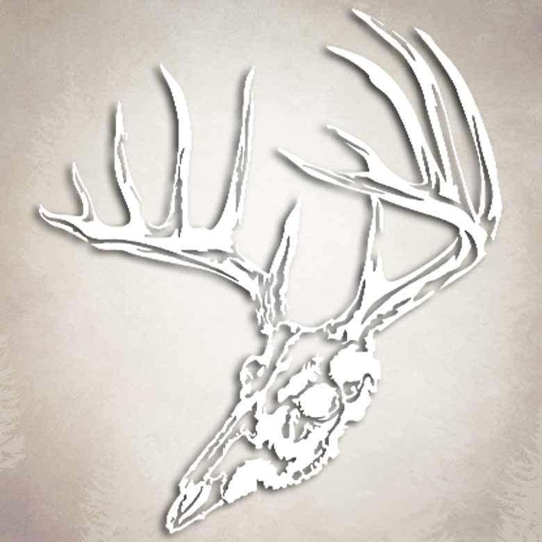 Whitetail Deer Timber Skull Sticker Archery Hunting Decal for Mathews Hoyt PSE gallery